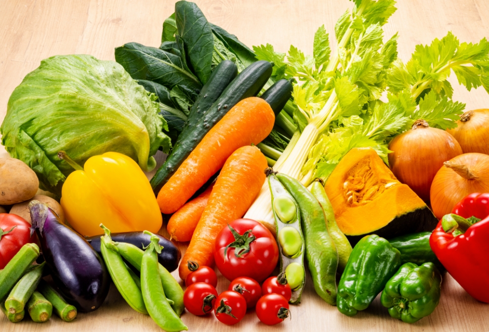 スター★レオーネの食育